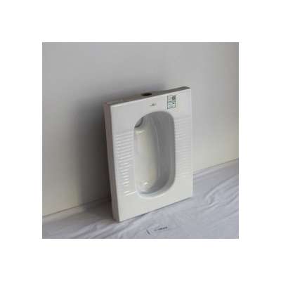 Floor Type Siphon Jet Flushing Bathroom Squatting Pan WC Squat Pan with Flushing