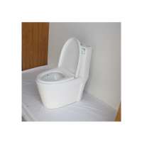 Meijie LZN-20 Modern Design Public Sanitary Ware Ceramic WC Toilet for Park