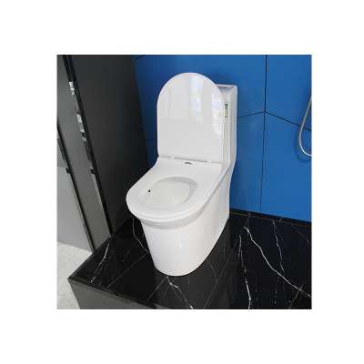 Meijie LZN-23 Ceramic Toilet One Piece Sanitary Ware Bathroom WC Toilet for Home