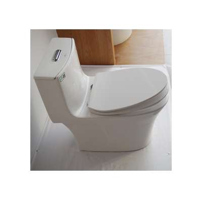 European Standard Bathroom Sanitary Ware Floor Mounted WC Toilet with Tank