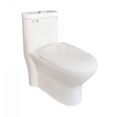 2020 New Arrival Modern Ceramic One Piece Dual Flush Wc Toilet For Hotel