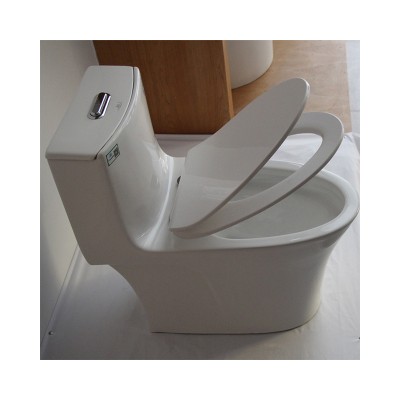 European Standard Bathroom Toilet Ceramic Sanitary Ware One Piece WC Toilet from Guangxi